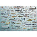 Evolution of Military Aircraft 2000 Piece Jigsaw Puzzle Eurographics - for just $29.99! 