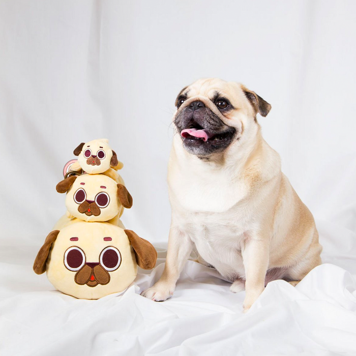 Good Smile Company: Puglie Pug Plush Medium With Hang Clip - for just $9.99! 