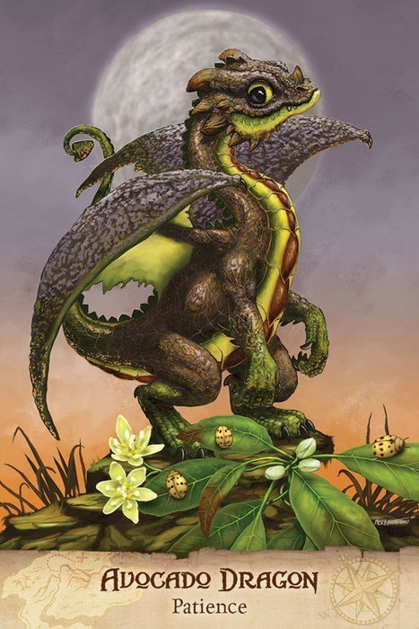 Field Guide To Garden Dragons - for just $22.95! 