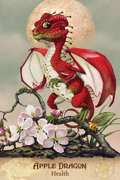 Field Guide To Garden Dragons - for just $22.95! 