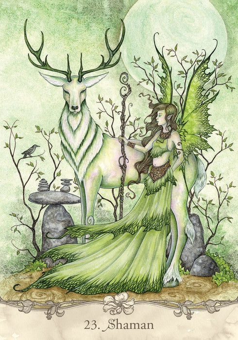Fairy Wisdom Oracle Deck and Book Set - for just $24.95! 