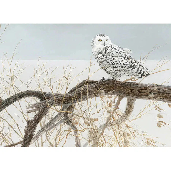 Fallen Willow - Snowy Owl 500 Piece Jigsaw Puzzle Cobble Hill - for just $17.99! 