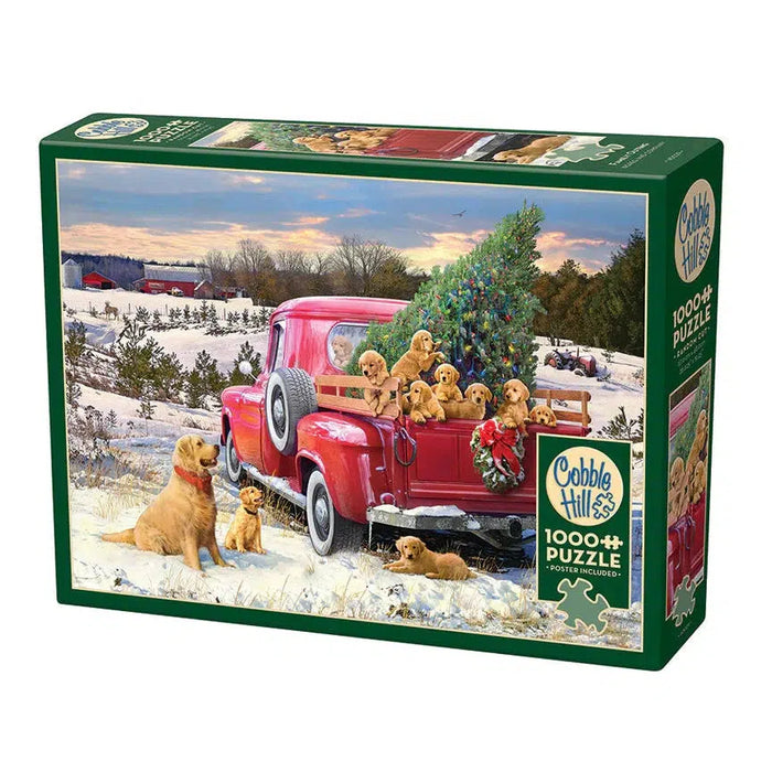 Family Outing 1000 Piece Jigsaw Puzzle Cobble Hill - for just $20.99! 