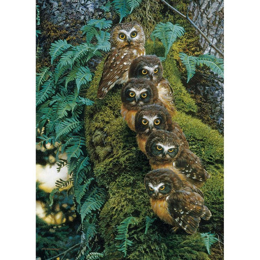 Family Tree 1000 Piece Jigsaw Puzzle Cobble Hill - for just $19.99! 