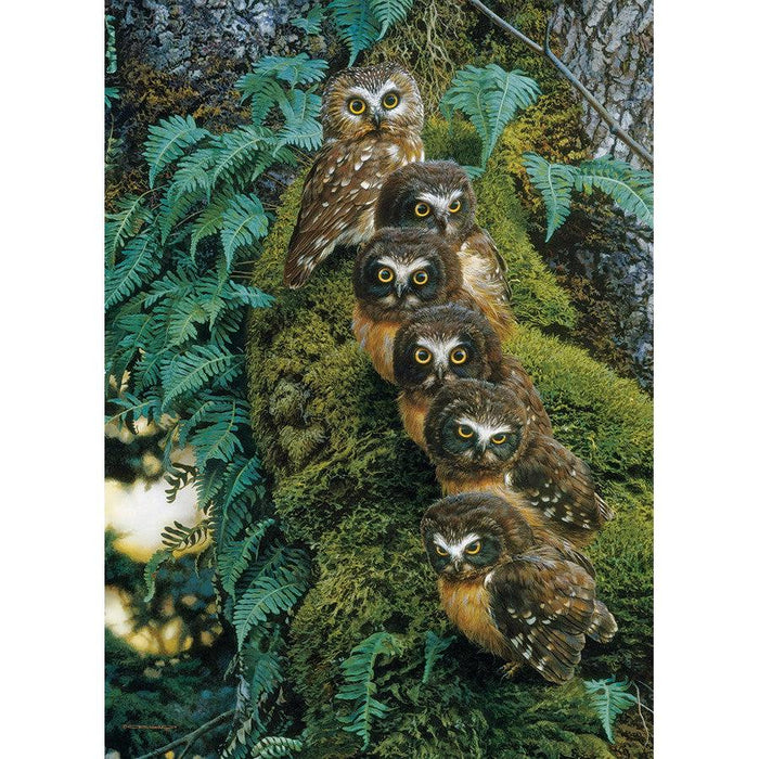 Family Tree 1000 Piece Jigsaw Puzzle Cobble Hill - for just $19.99! 