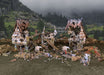 Battle Systems: Village Ruins - for just $34.99! 