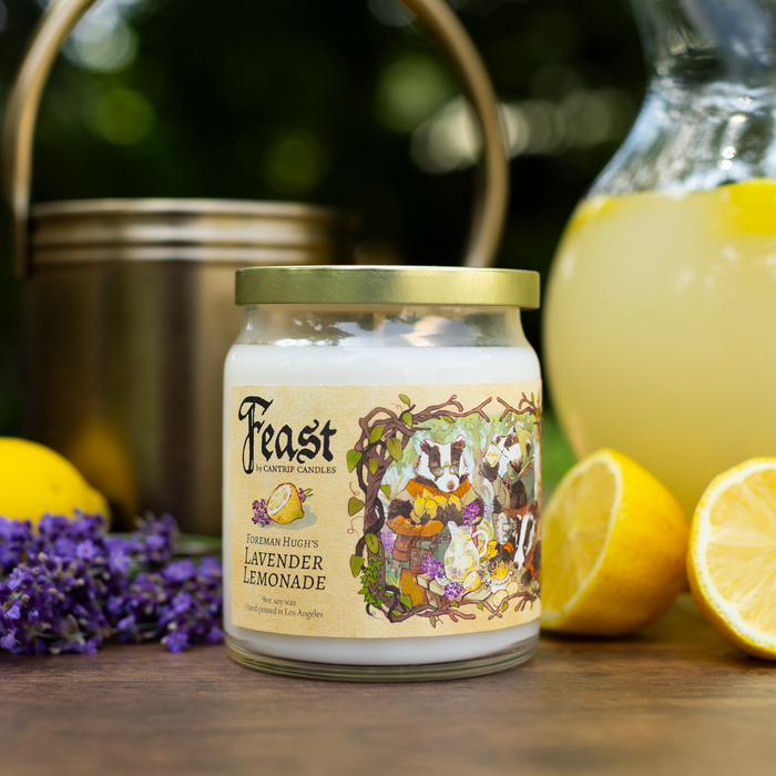 Feast by Cantrip Candles (9 oz) - for just $24.99! 