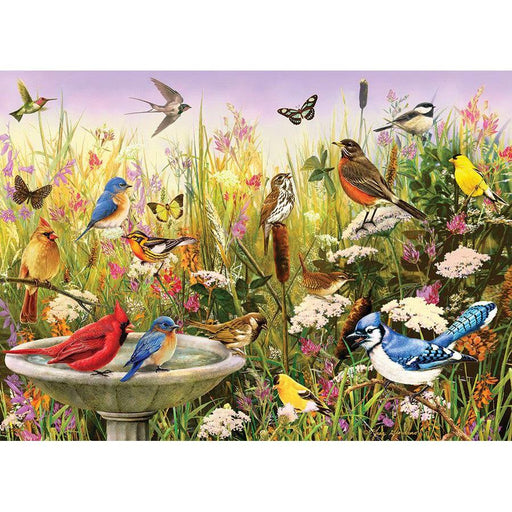 Feathered Friends 1000 Piece Jigsaw Puzzle Cobble Hill - for just $19.99! 