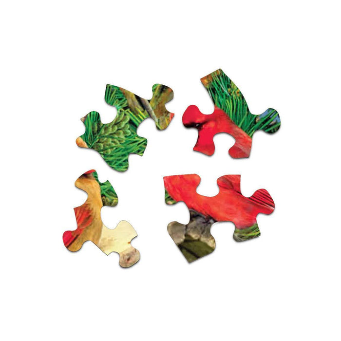 Feathered Retreat 1000 Piece Jigsaw Puzzle Springbok - for just $19.99! 