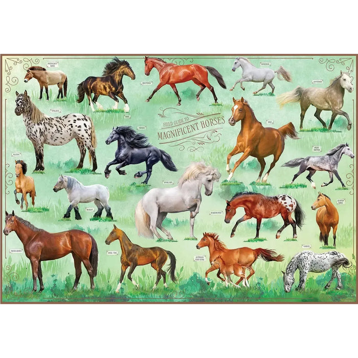 Field Guide To Magnificent Horses 500 Piece Jigsaw Puzzle Insights - for just $17.99! 