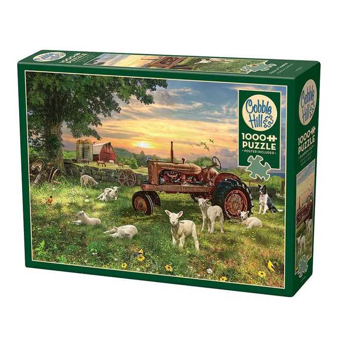 Field at Sunrise 1000 Piece Jigsaw Puzzle Cobble Hill - for just $19.99! 