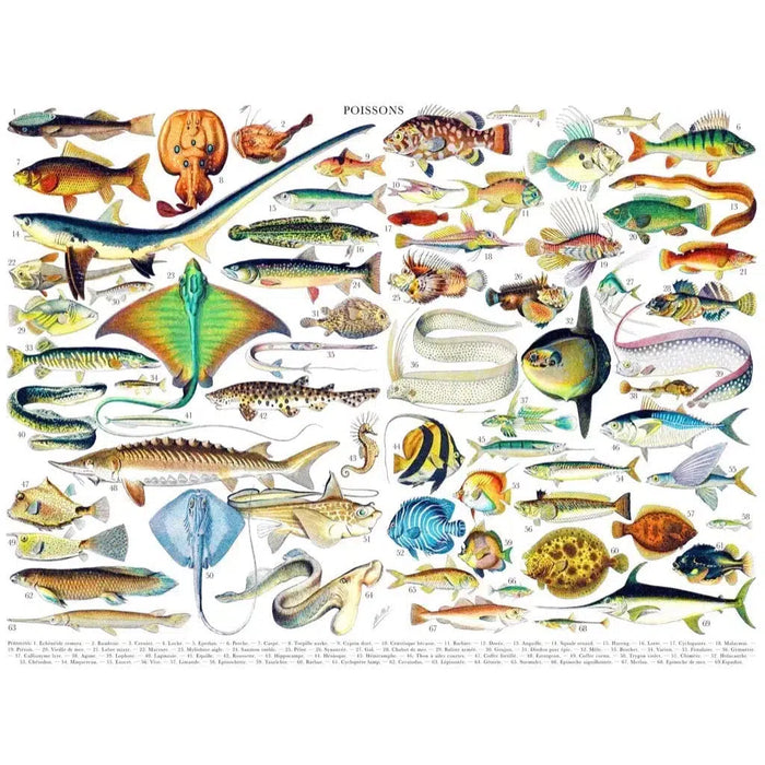 Fish ~ Poissons 1000 Piece Jigsaw Puzzle NYPC - for just $24.99! 