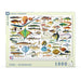 Fish ~ Poissons 1000 Piece Jigsaw Puzzle NYPC - for just $24.99! 