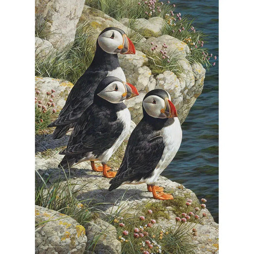 Fisherman's Wharf 500 Piece Jigsaw Puzzle Cobble Hill - for just $17.99! 