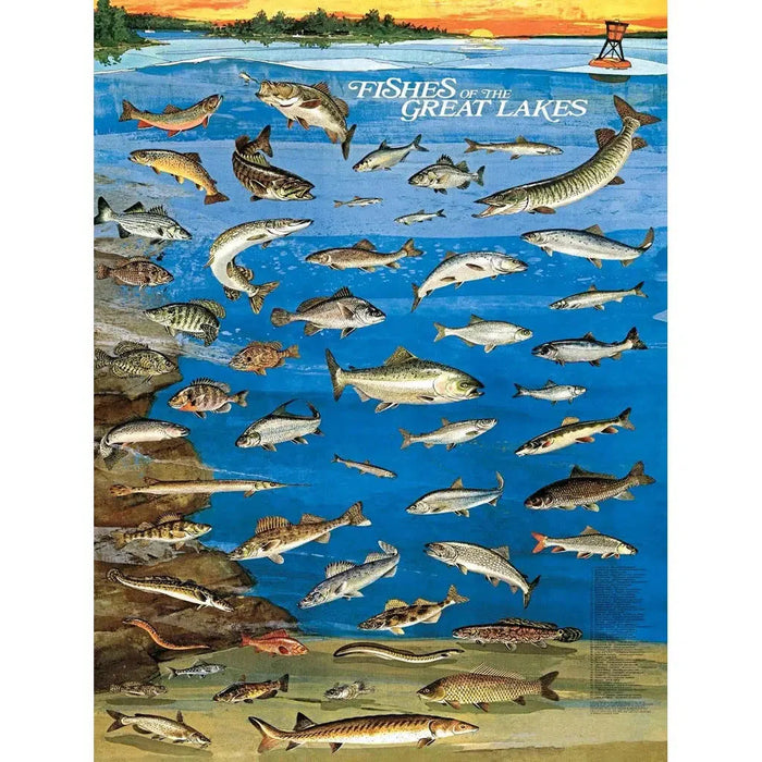 Fishes of the Great Lakes 1000 Piece Jigsaw Puzzle NYPC - for just $24.99! 