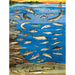 Fishes of the Great Lakes 1000 Piece Jigsaw Puzzle NYPC - for just $24.99! 