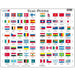 Flags of the World 80 Piece Tray Jigsaw Puzzle Larsen - for just $11.99! 