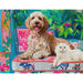 Floral Companions 500 Piece Jigsaw Puzzle Springbok - for just $17.99! 