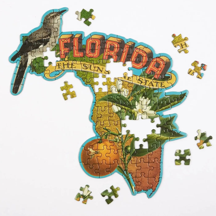 Florida 100 Piece Mini Shaped Jigsaw Puzzle Galison - for just $7.99! 
