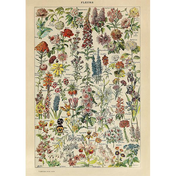Flowers by Millot 1000 Piece Jigsaw Puzzle Piatnik - for just $24.99! 