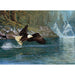 Fly Fishing 1000 Piece Jigsaw Puzzle Cobble Hill - for just $19.99! 