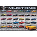 Ford Mustang Evolution 1000 Piece Jigsaw Puzzle Eurographics - for just $19.99! 