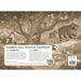 Forest Scene 35 Piece Tray Jigsaw Puzzle Cobble Hill - for just $9.99! 