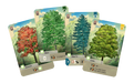 Forest Shuffle - for just $29.99! 
