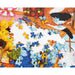 Four Seasons of Cats 1000 Piece Jigsaw Puzzle Springbok - for just $19.99! 