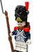 Napoleonic Wars - French Grenadier of the Old Guard - for just $4.65! 