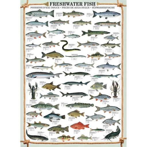 Freshwater Fish 1000 Piece Jigsaw Puzzle Eurographics - for just $21.99! 