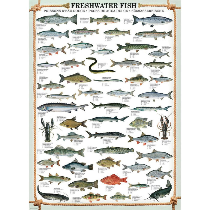 Freshwater Fish 1000 Piece Jigsaw Puzzle Eurographics - for just $21.99! 