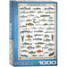 Freshwater Fish 1000 Piece Jigsaw Puzzle Eurographics - for just $21.99! 