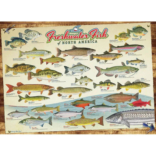 Freshwater Fish of North America 1000 Piece Jigsaw Puzzle Cobble Hill - for just $19.99! 