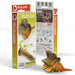 Frilled Lizard 3D Cardboard Model Kit Eugy - for just $11.99! 