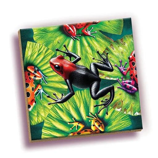 Frog 25 Piece Magic Square Tile Puzzle Sudoku Style Game Outset - for just $11.99! 
