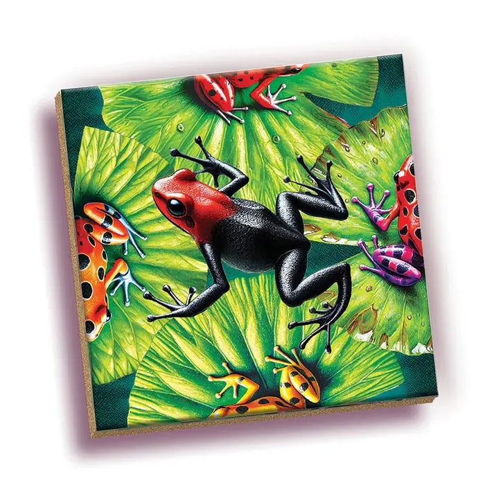 Frog 25 Piece Magic Square Tile Puzzle Sudoku Style Game Outset - for just $9.99! 