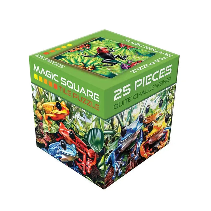 Frog 25 Piece Magic Square Tile Puzzle Sudoku Style Game Outset - for just $9.99! 