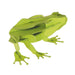 Frog 3D Cardboard Model Kit Fridolin - for just $7.99! 
