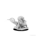 D&D: Nolzur's Marvelous Miniatures - Frost Salamander - for just $15.99! 