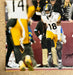 Mike Williams Signed Autographed NFL Pittsburgh Steelers 8x10 Photo With JSA COA - for just $70! 