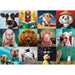 Funny Animals 1000 Piece Jigsaw Puzzle Eurographics - for just $19.99! 