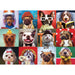 Funny Dogs 1000 Piece Jigsaw Puzzle Eurographics - for just $19.99! 