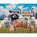 Furry Forest Friends 300 Piece Soft Touch Jigsaw Puzzle Crown Point - for just $17.99! 