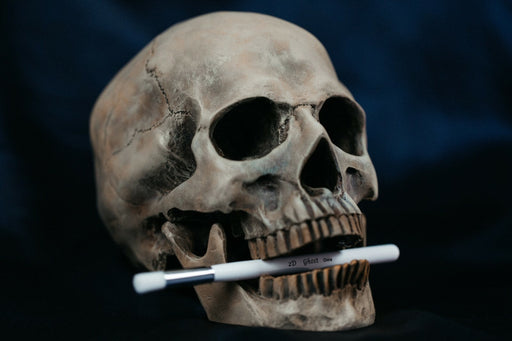 SleepwalkAir: Ghost Brush - Dry Brush - Size 2D - for just $2.99! 