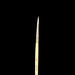 SleepwalkAir: Ghost Brush - Round Brush - Size 6 - for just $2.99! 