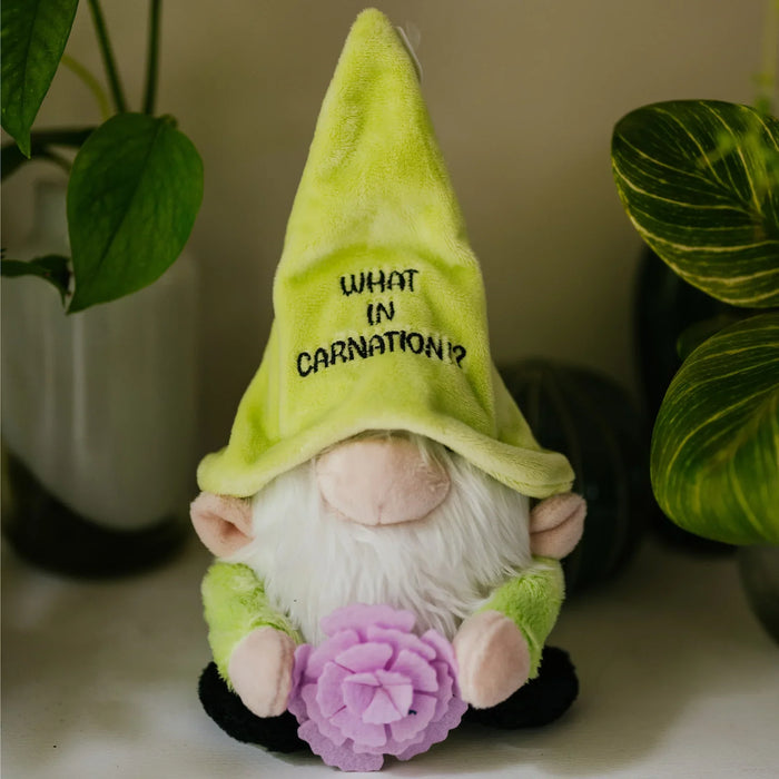 Punchkins Gnome Plush What in Carnation - for just $18.50! 