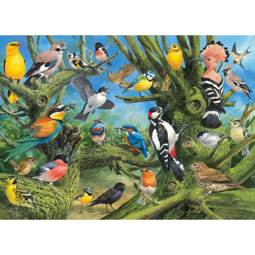 Garden Birds 1000 Piece Jigsaw Puzzle Eurographics - for just $19.99! 