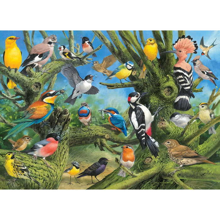 Garden Birds 1000 Piece Jigsaw Puzzle Eurographics - for just $19.99! 