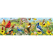 Garden Birds 1000 Piece Panoramic Jigsaw Puzzle Eurographics - for just $19.99! 